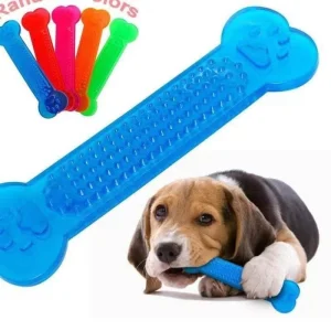Pet Dog Chew Toys Rubber Bone Toy Aggressive Chewers Dog Toothbrush Doggy Puppy Dental Care For Dog Pet Accessories