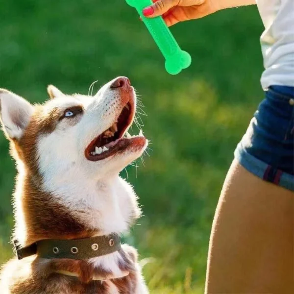 Pet Dog Chew Toys Rubber Bone Toy Aggressive Chewers Dog Toothbrush Doggy Puppy Dental Care For Dog Pet Accessories - Image 2