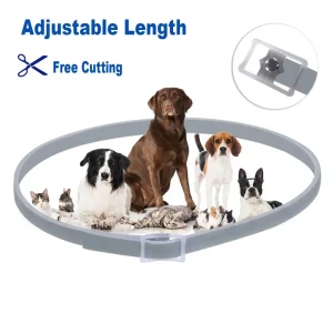 Pets - Silicone Adjustable Dog/Cat Collar Necklace 8 Month Protection Corgi Teddy